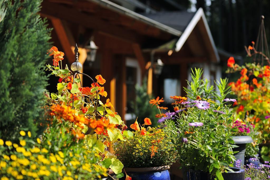 Landhotel Baumwipfel Willingen  Exterior foto